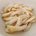 マテ貝